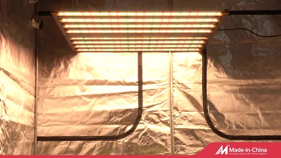 Mercy Gavita 680W Smart Control Dimmable High Ppfd RoHS Indoor Mariguana Fluence LED Grow Light Dlc Approved Full Spectrum Efficacy up to 2.8 Umol/J